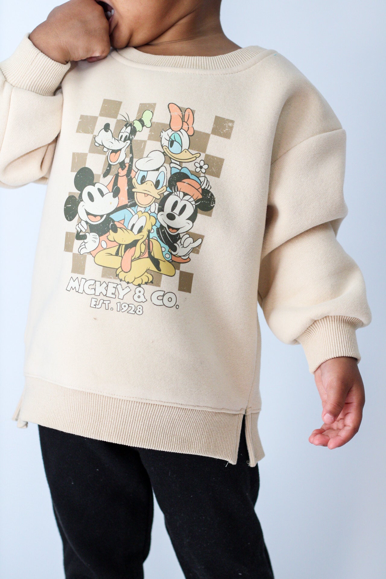 Mouse & Friends Pullover