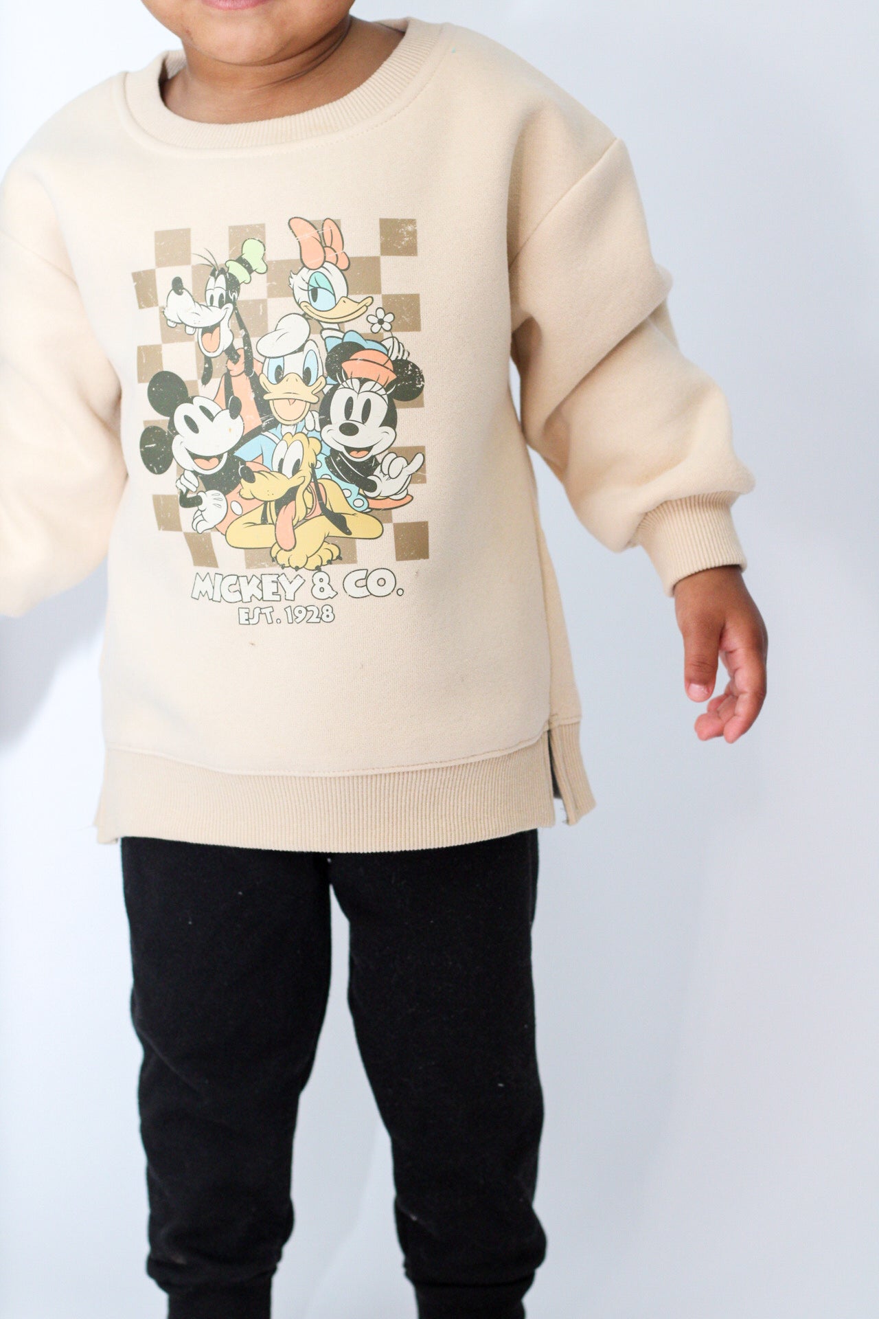 Mouse & Friends Pullover