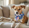 Dog Bamboo Bandana PRESALE EST OCTOBER