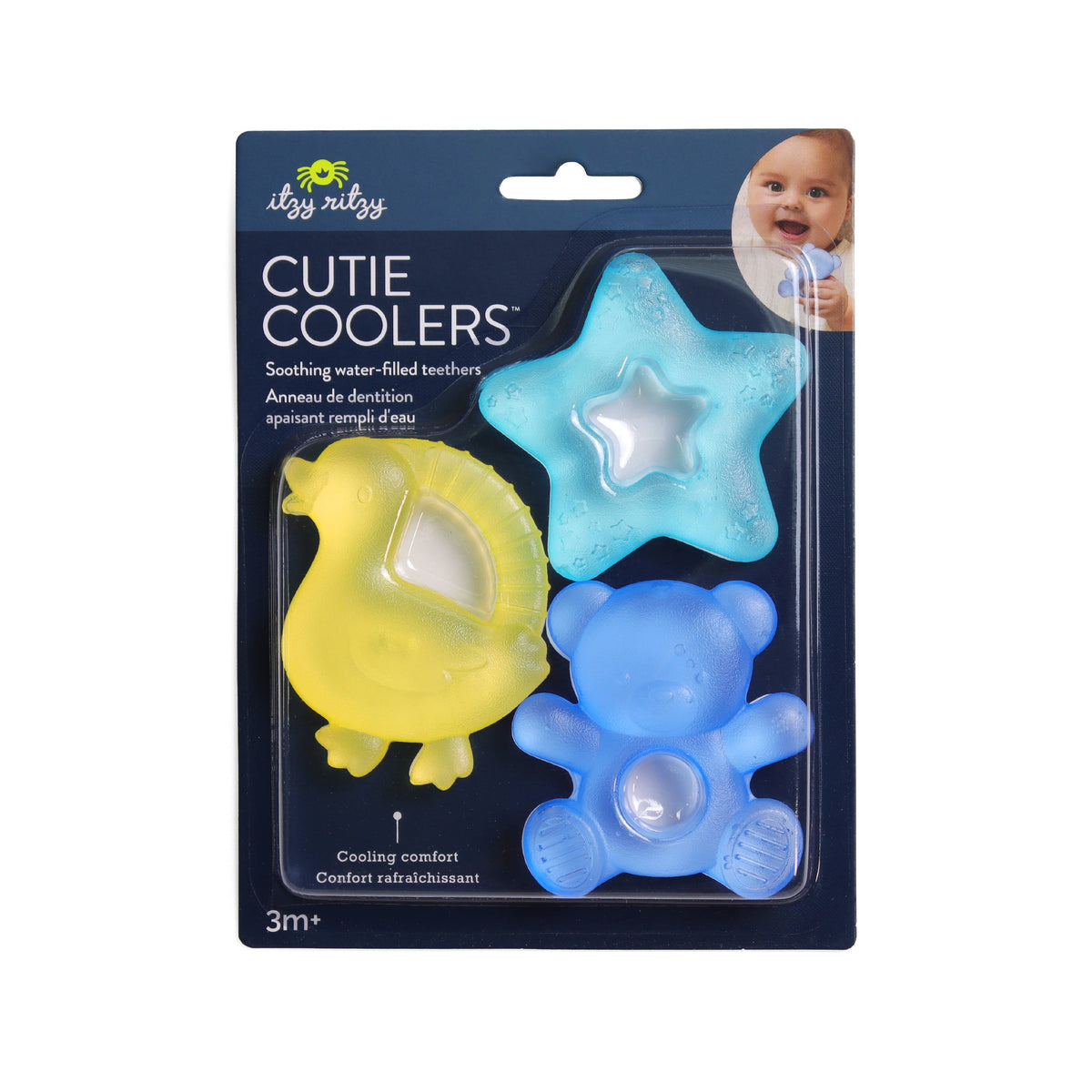 Beary Cutie Coolers